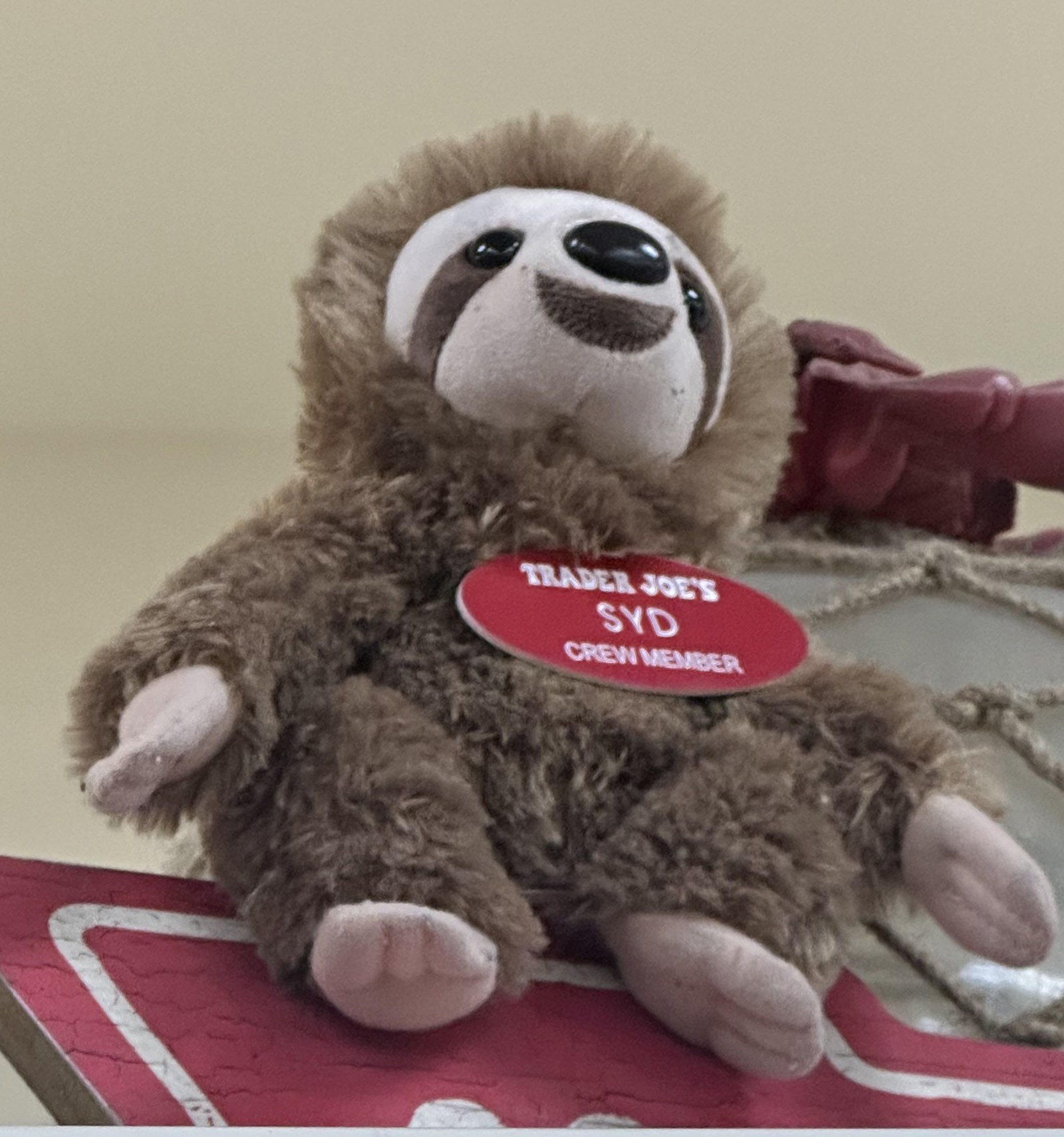 Syd the Sloth at Trader Joe's San Diego — College Area, CA