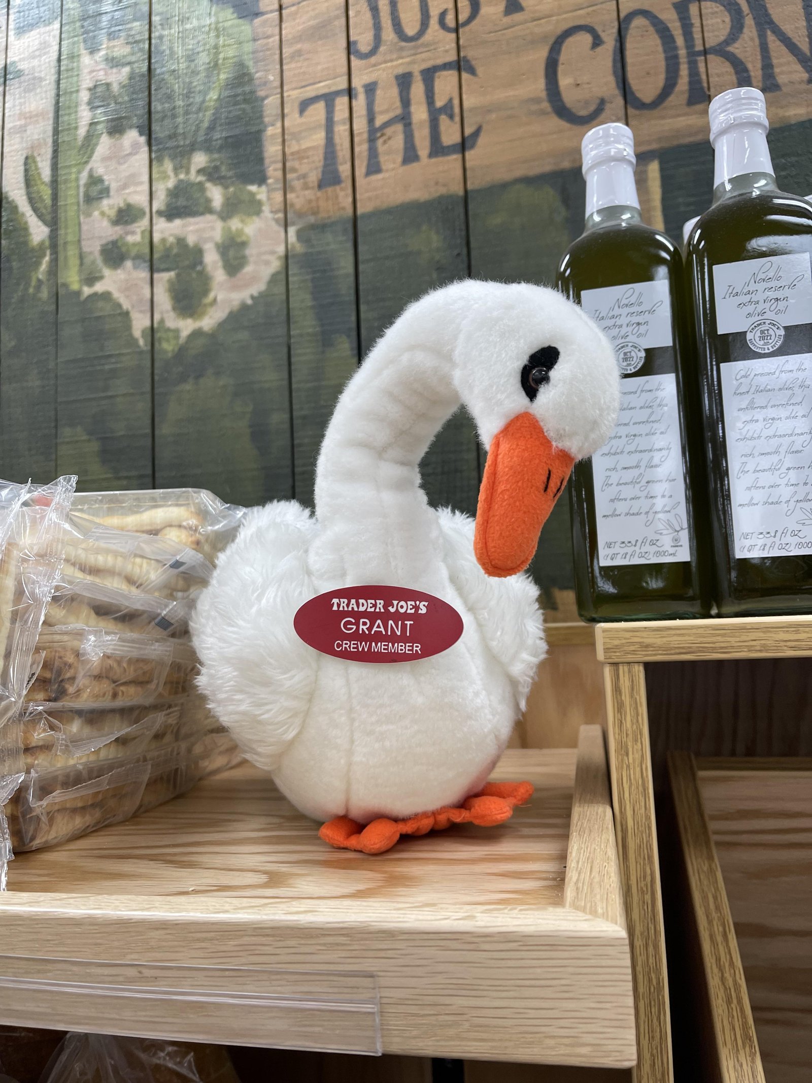 Grant the Swan at Trader Joe's Tucson — Park Place, AZ