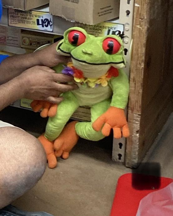 JoeJoe the Frog at Trader Joe's Fort Worth, TX