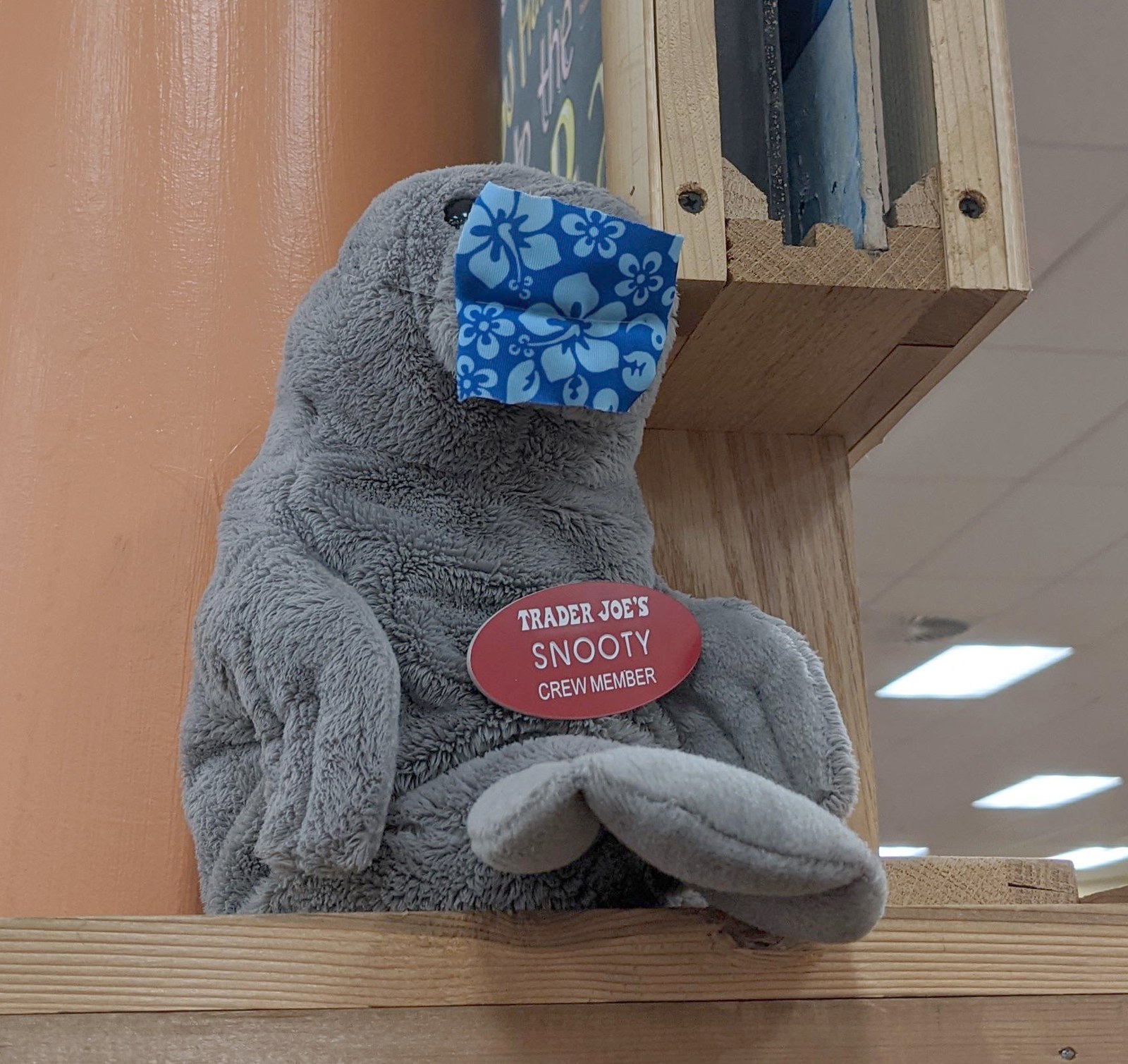 Snooty the Manatee