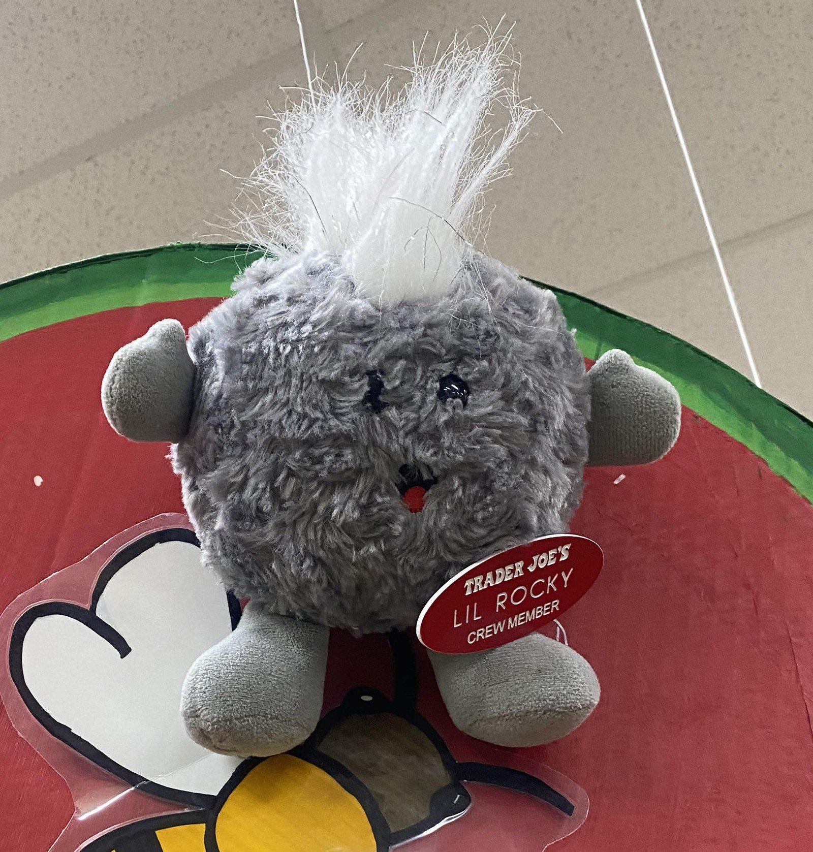 Lil' Rocky the Rock at Trader Joe's Little Rock, AR