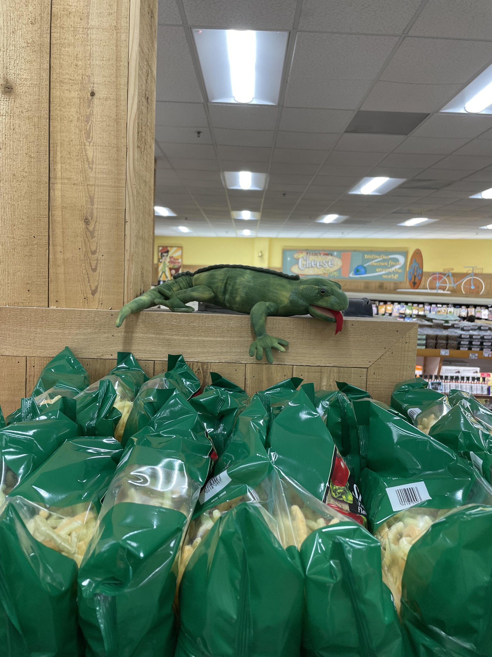 Larry the Lizard at Trader Joe's Irvine — Northwood, CA