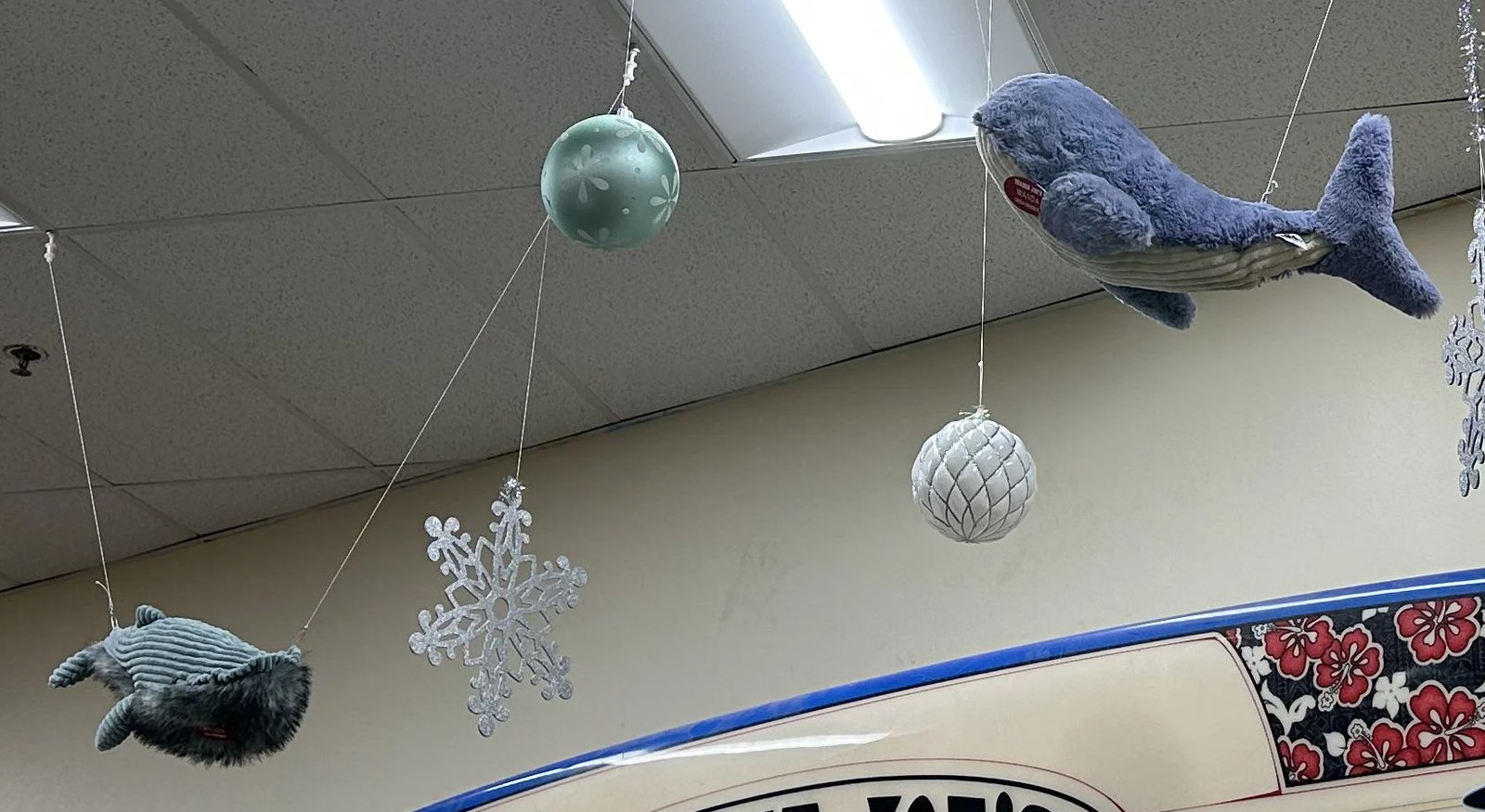 Whalen and Wanda the Whales (x2) at Trader Joe's San Luis Obispo, CA