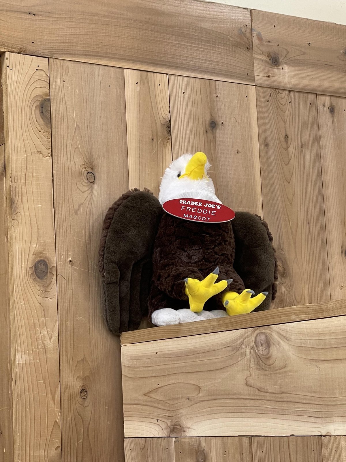 Freddie the Eagle at Trader Joe's Eagle Rock, CA