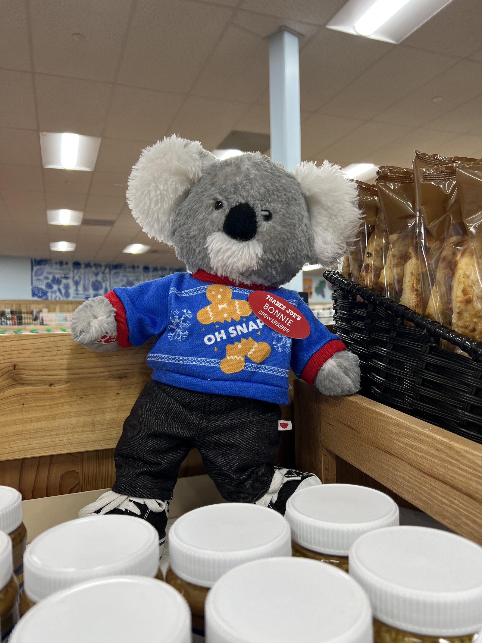 Bonnie the Koala at Trader Joe's Richmond, VA