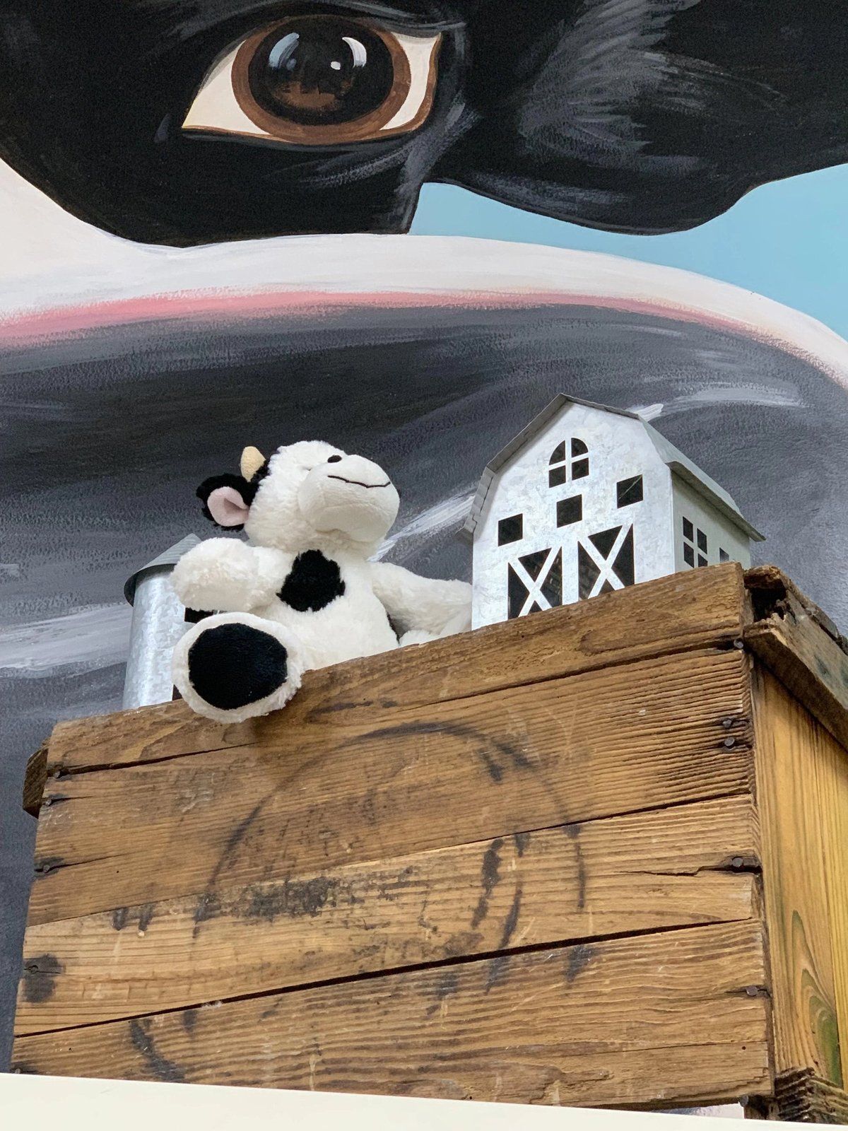 Midnight the Cow at Trader Joe's Schaumburg, IL