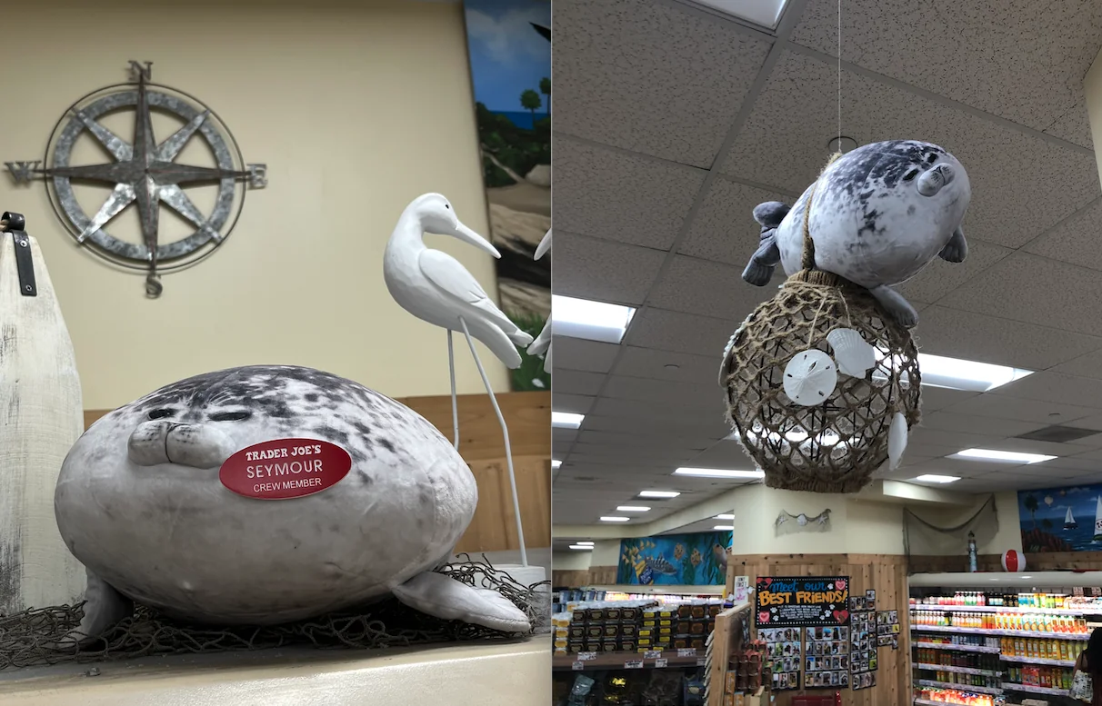 Seymour the Seal at Trader Joe's La Jolla, CA