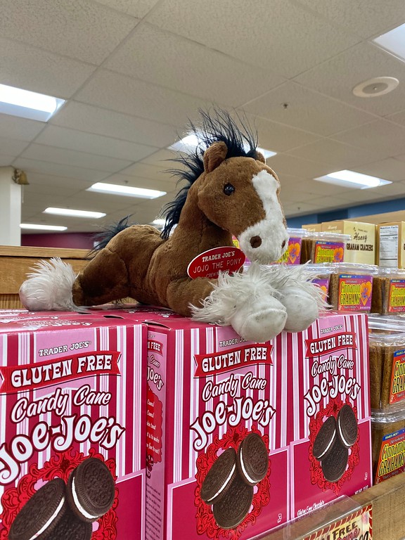JoJo the Pony at Trader Joe's Novato, CA