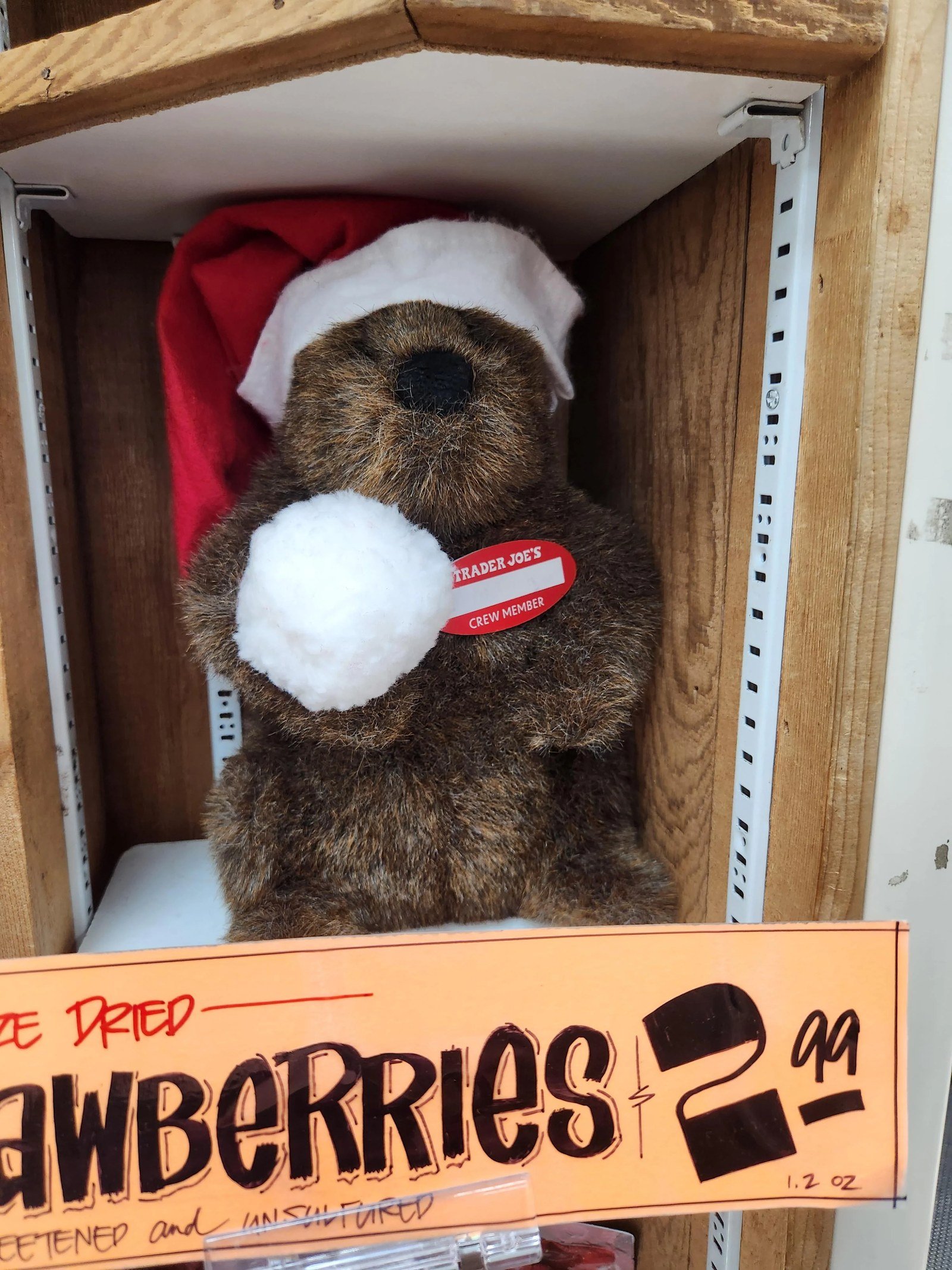 Nutmeg the Groundhog at Trader Joe's Elkridge, MD