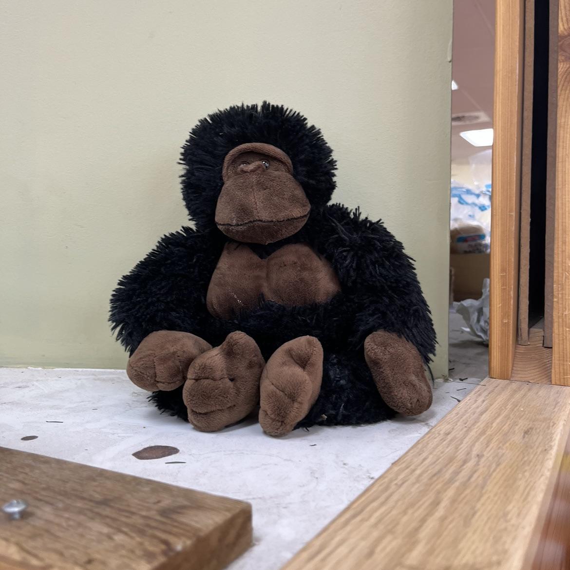 Gorilla Joe the Gorilla at Trader Joe's Park Ridge, IL