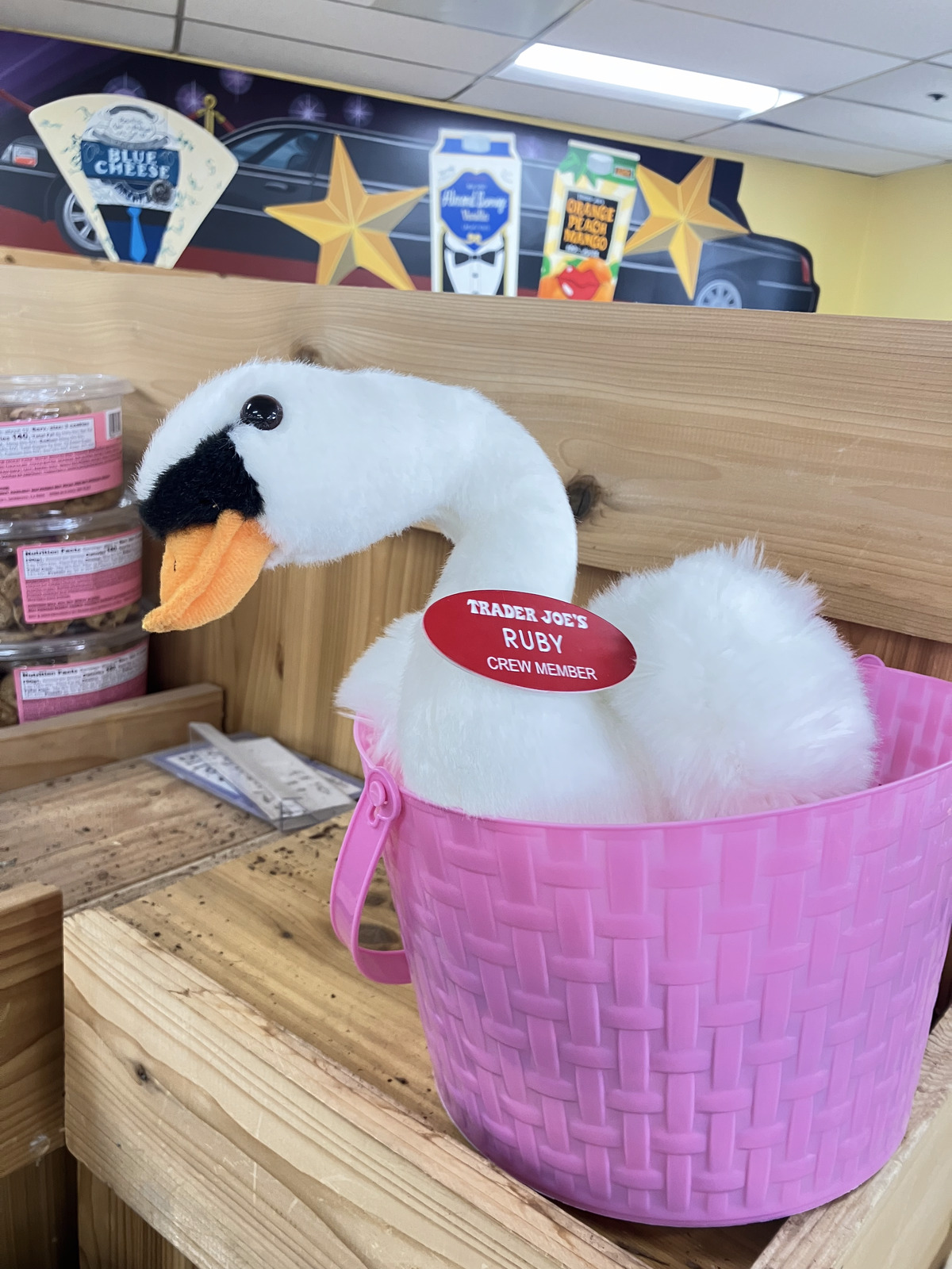 Ruby the Swan at Trader Joe's Toluca Lake