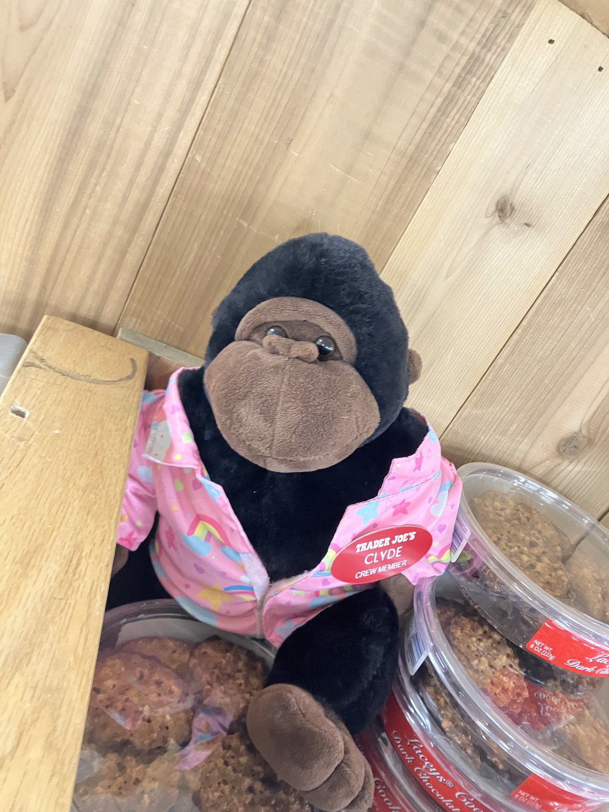 Clyde the Gorilla at Trader Joe's Encino