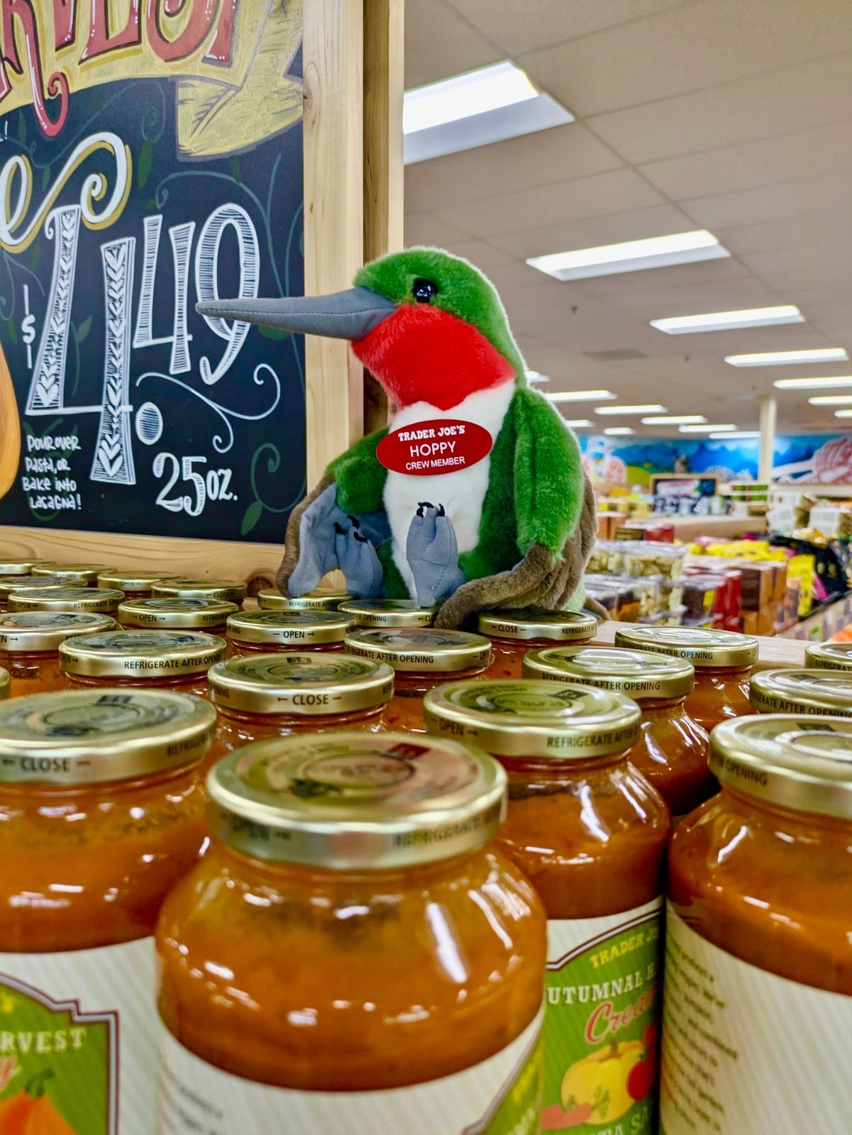 Hoppy the Hummingbird at Trader Joe's Vista, CA