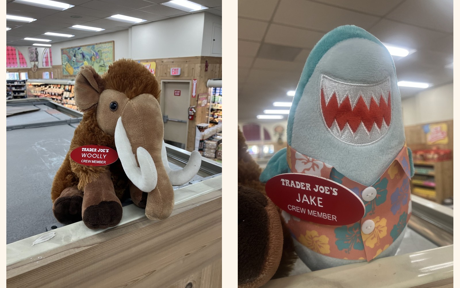 Woolly and Jake the Woolly Mammoth & Shark at Trader Joe's La Brea (Los Angeles)