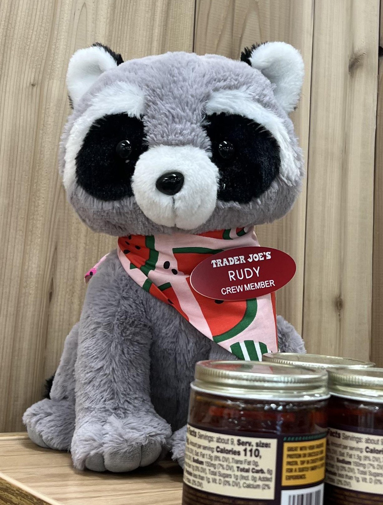 Rudy the Raccoon