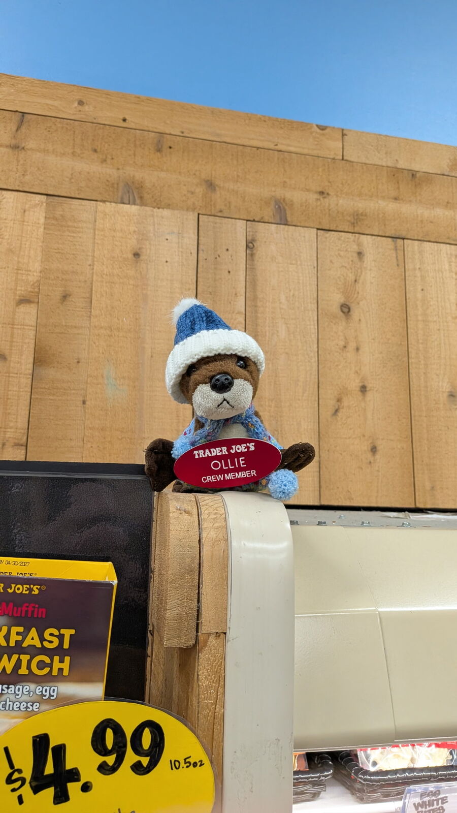 Ollie the Otter at Trader Joe's Culver Dr (Irvine)