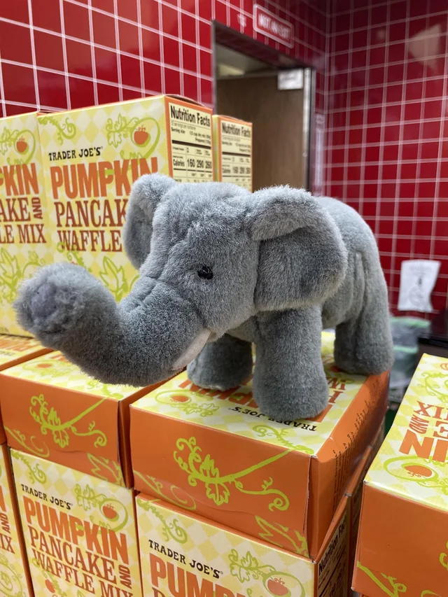 Unnamed the Elephant at Trader Joe's Brentwood, MO