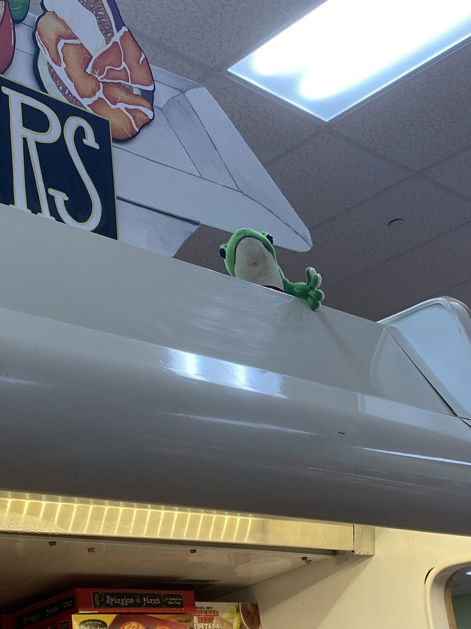 Gus the Gecko at Trader Joe's Pembroke Pines, FL