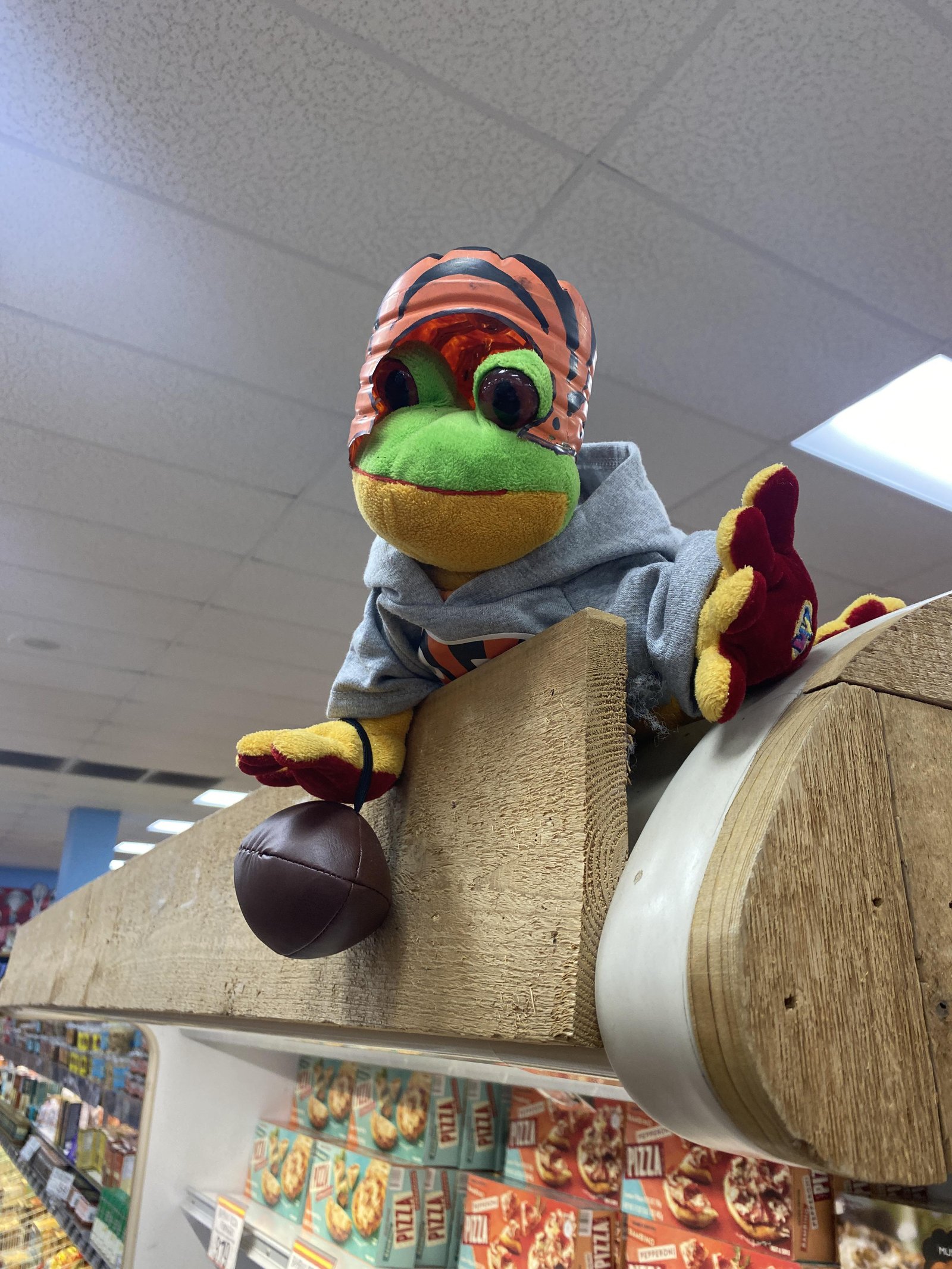 Wart the Frog at Trader Joe's Cincinnati, OH