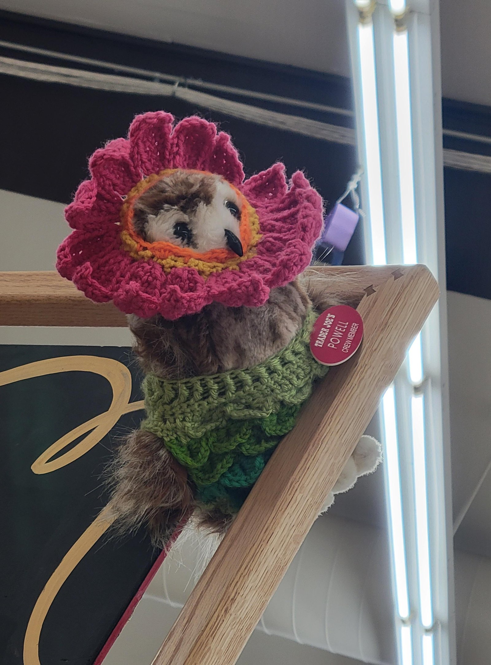 Powell the Owl at Trader Joe's Portland — SE / Reed, OR