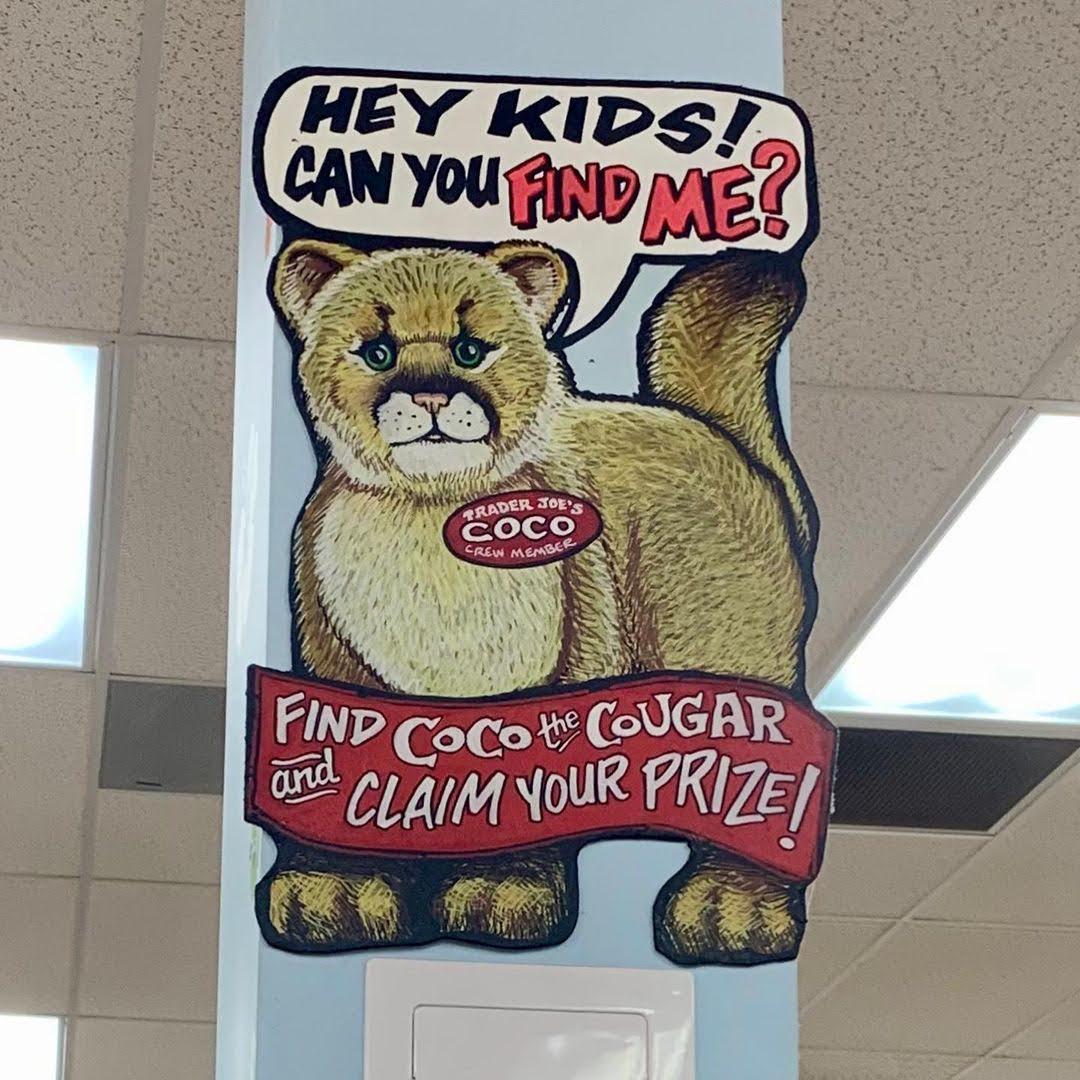 Coco the Cougar at Trader Joe's Commack, NY