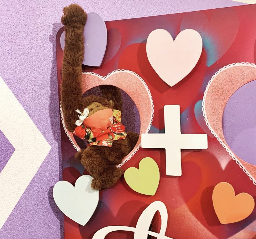 Rosie the Monkey at Trader Joe's Pasadena — Lake Avenue, CA