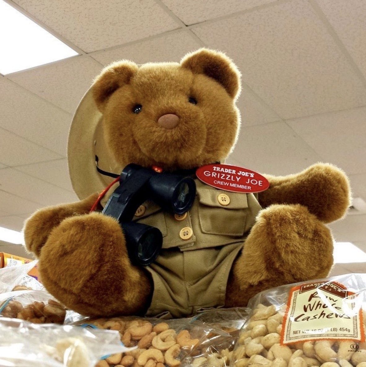 Grizzly Joe the Brown bear at Trader Joe's Pikesville, MD