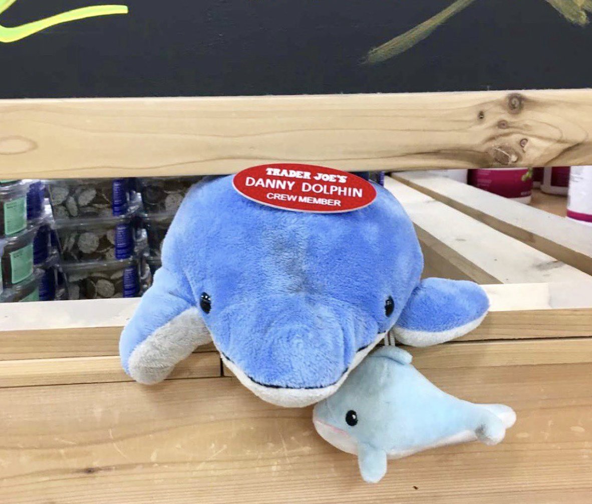Danny the Dolphin at Trader Joe's Manhattan Beach — Downtown, CA