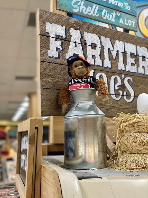 Carlo the Monkey at Trader Joe's Santa Rosa — North, CA