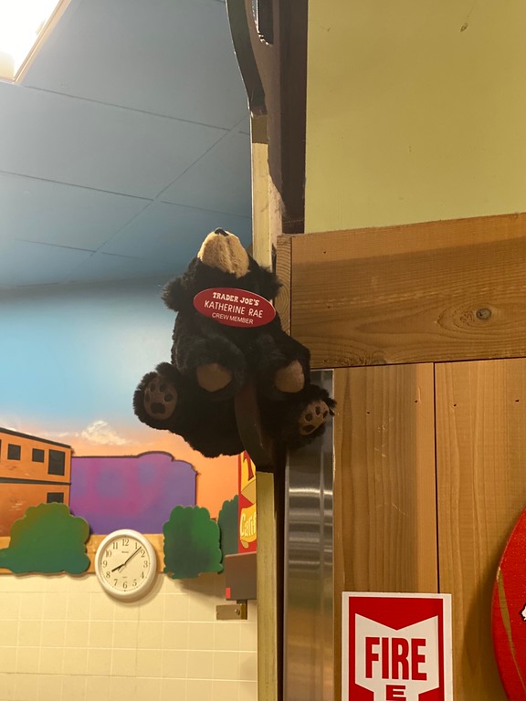 Katherine Rae the Bear at Trader Joe's San Francisco — Nob Hill, CA