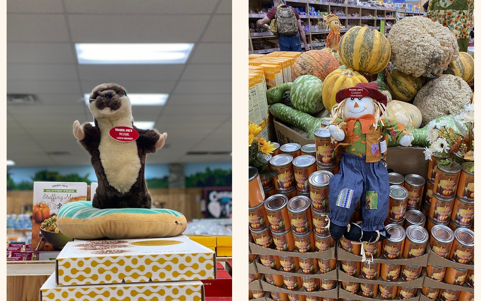 Rosie and Cindy the Otter & Scarecrow at Trader Joe's San Rafael, CA