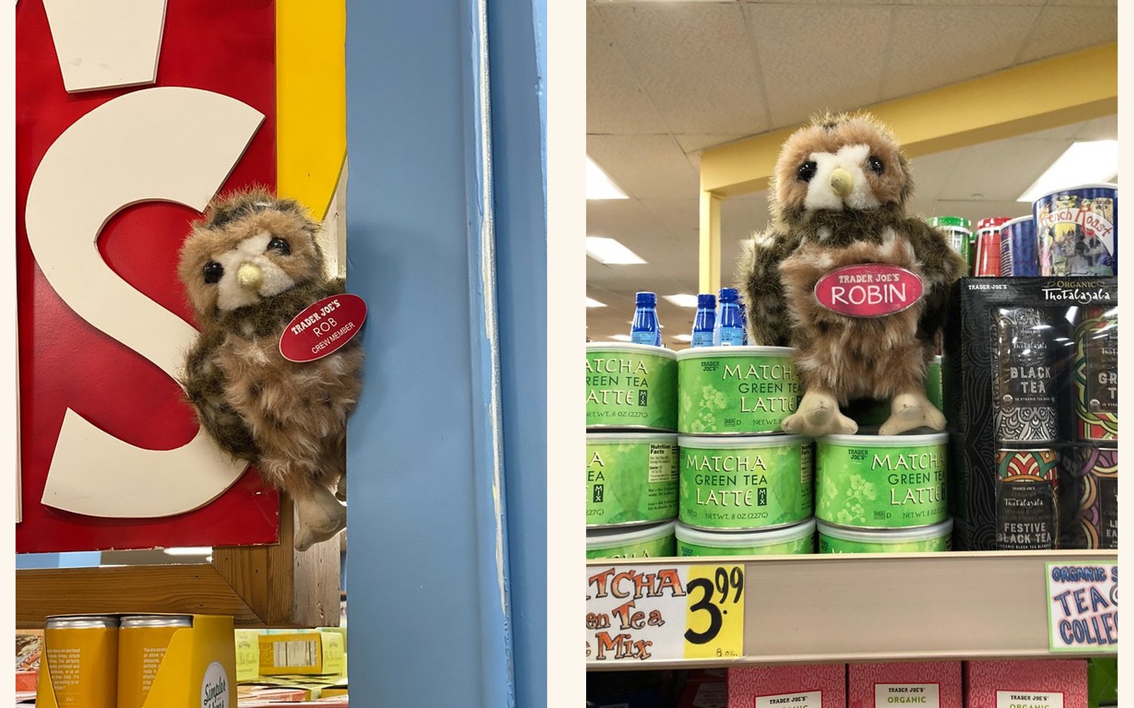 Rob and Robin the Owls (x2) at Trader Joe's Greenbrae, CA