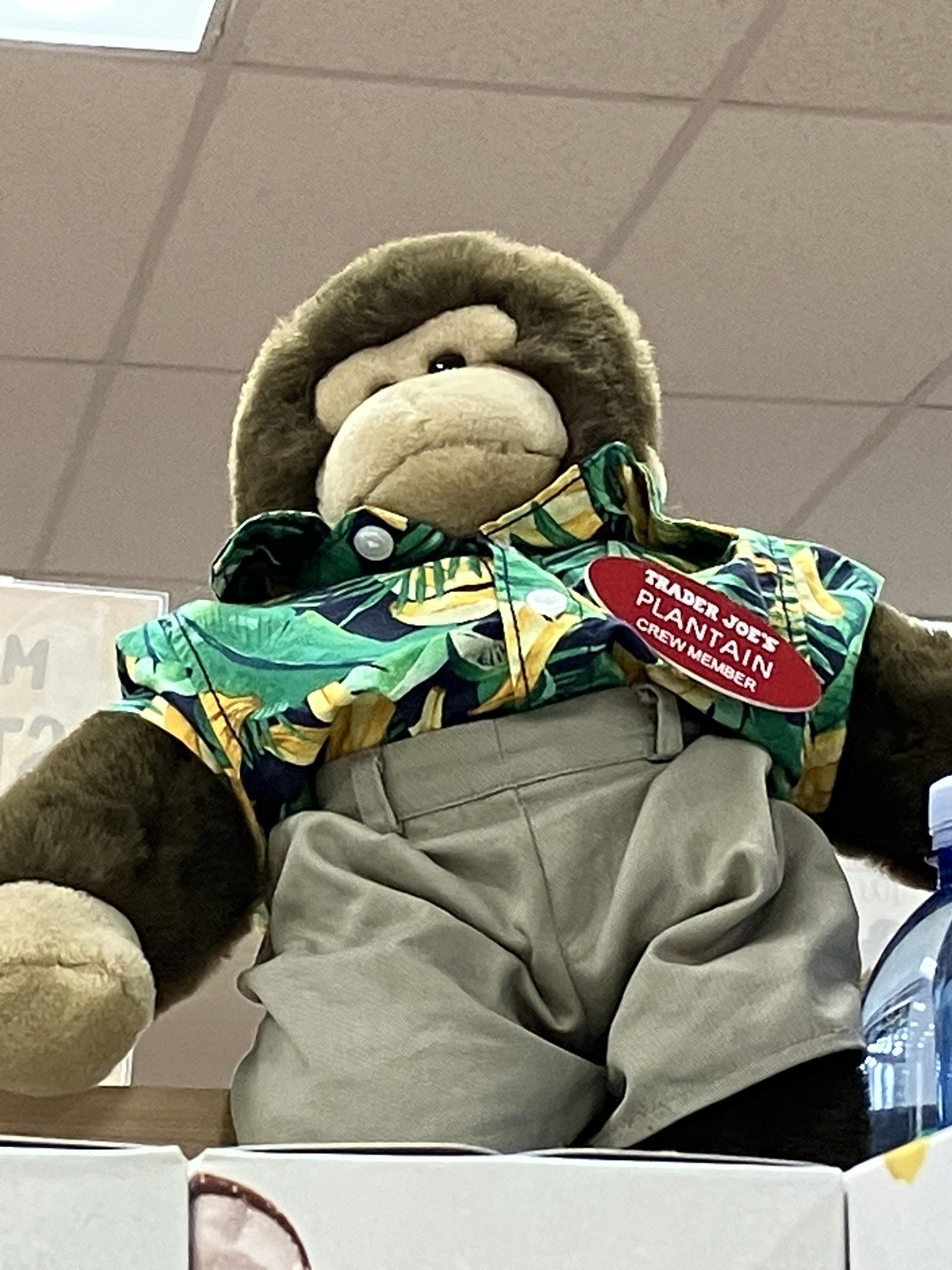 Plantain the Monkey at Trader Joe's Paramus, NJ