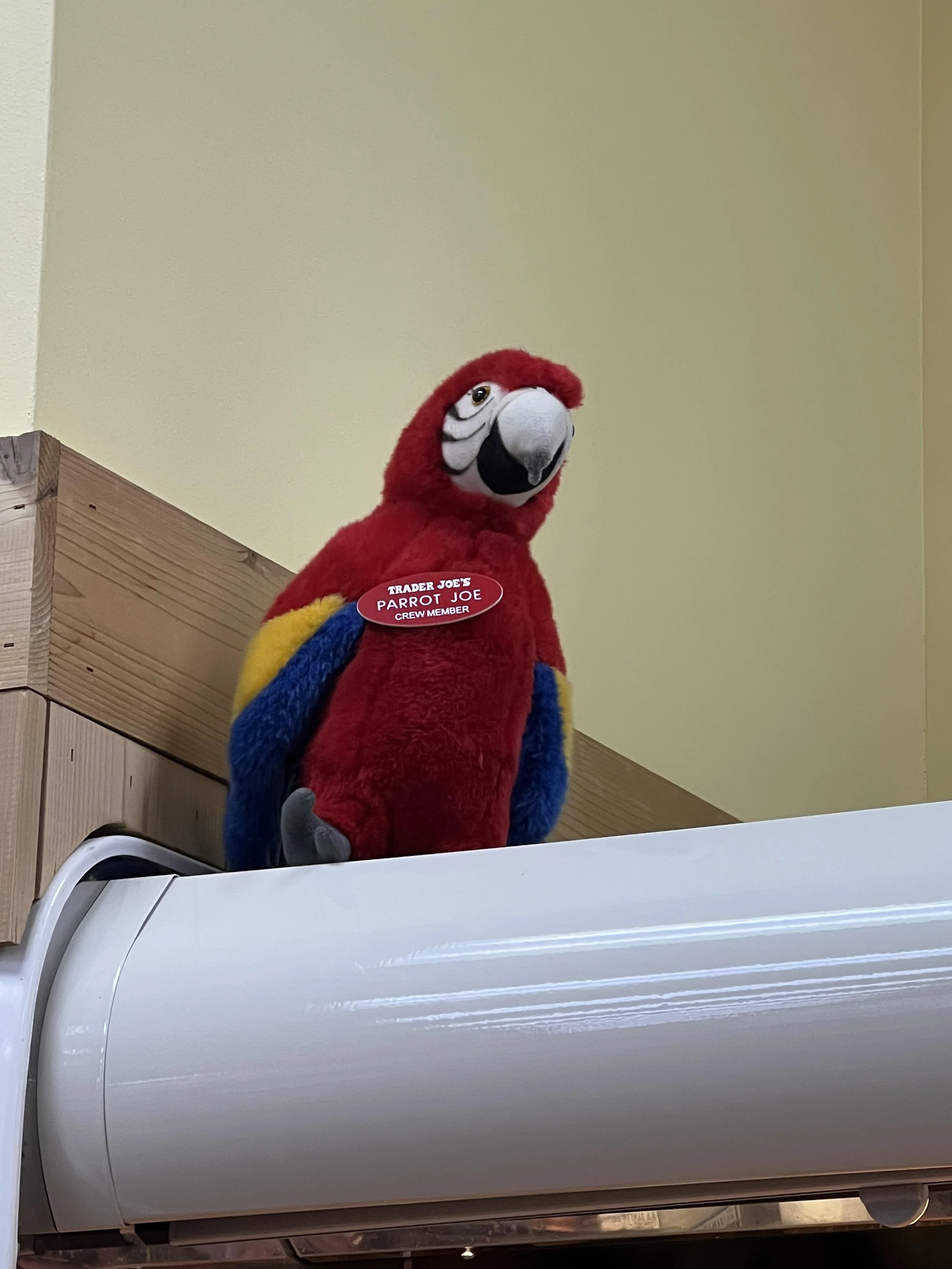 Parrot Joe the Parrot at Trader Joe's Bellevue — Crossroads, WA