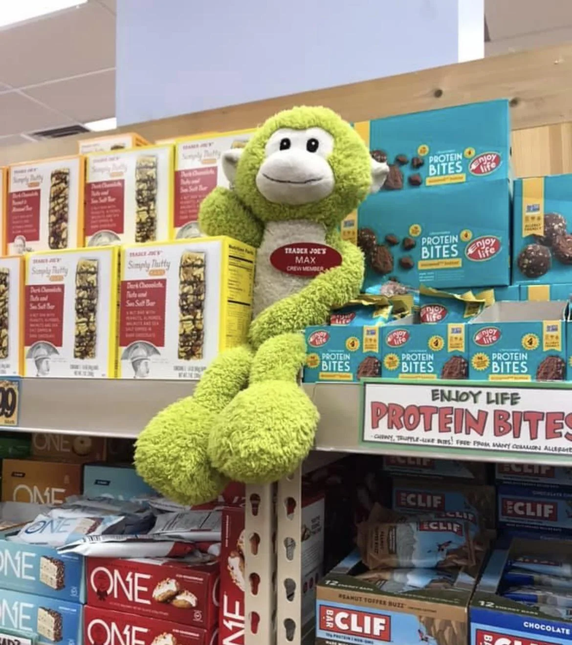 Max the Monkey at Trader Joe's Indianapolis — Castleton, IN