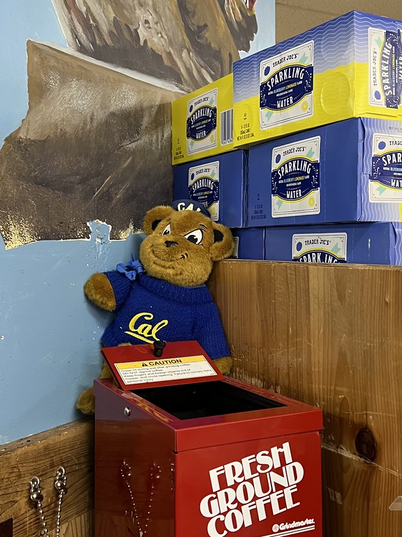 Cal the Bear at Trader Joe's Berkeley, CA