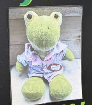 Froggy Joe the Frog at Trader Joe's Wilmington, DE