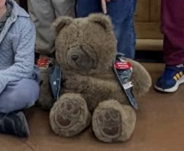 Meatball the Bear at Trader Joe's Montrose, CA