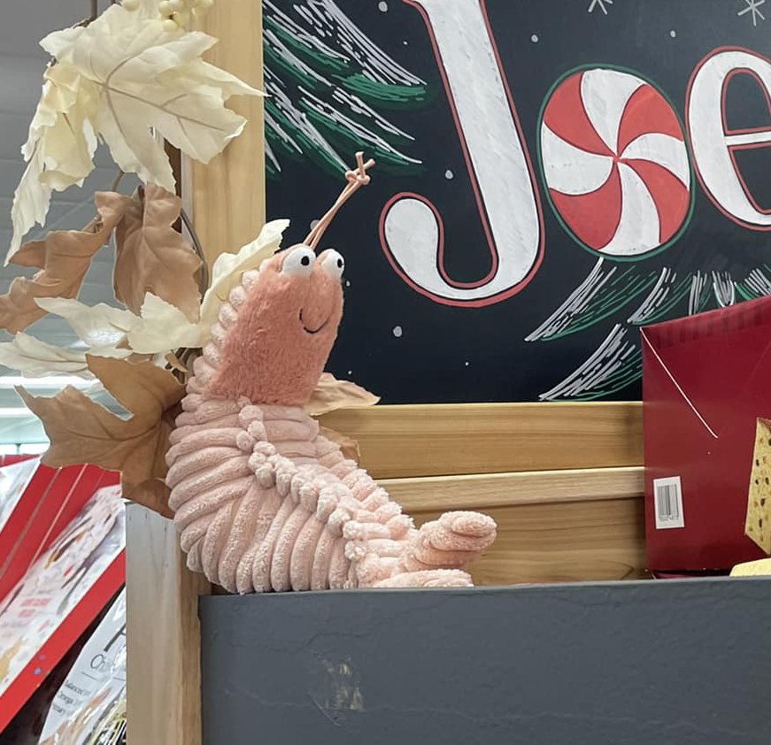 Sheldon the Shrimp at Trader Joe's Marina, CA