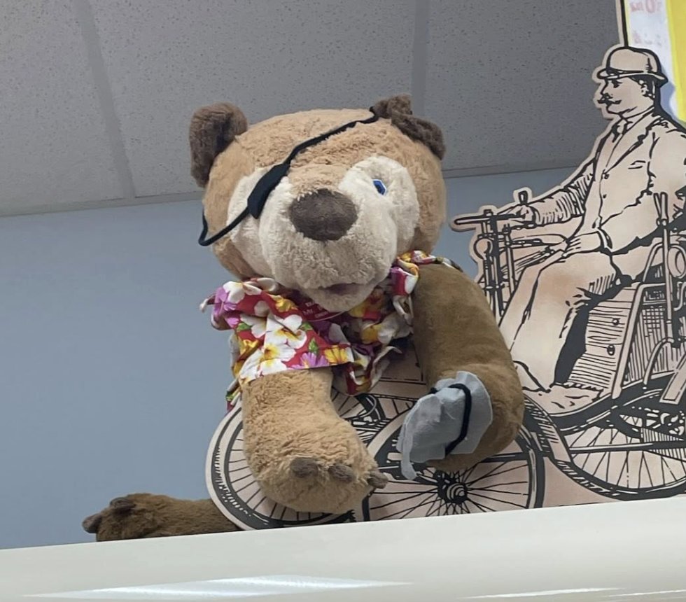 Unnamed the Bear at Trader Joe's Rockville — King Farm, MD