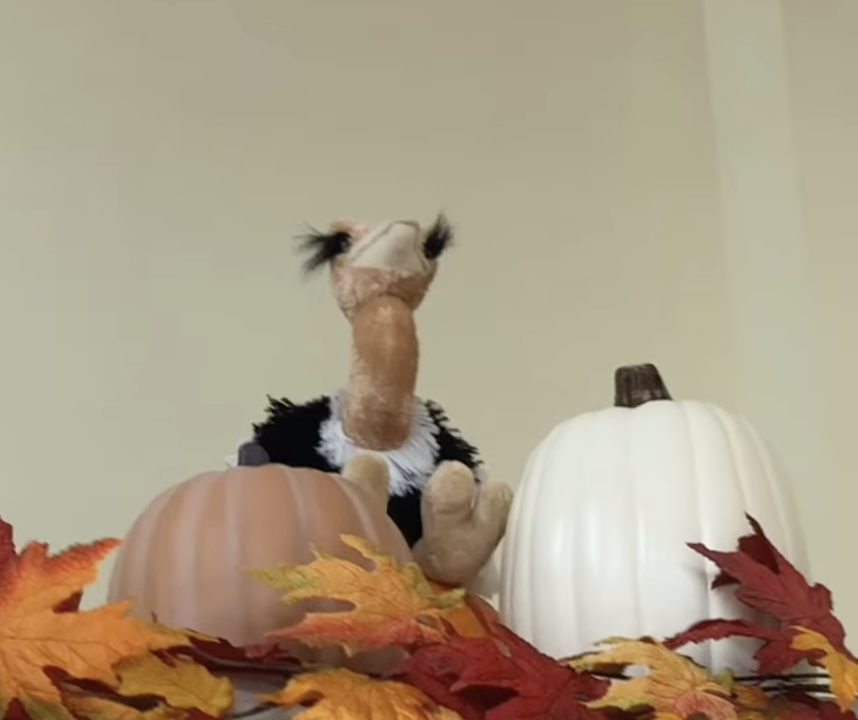 Rosie the Ostrich at Trader Joe's Chandler, AZ