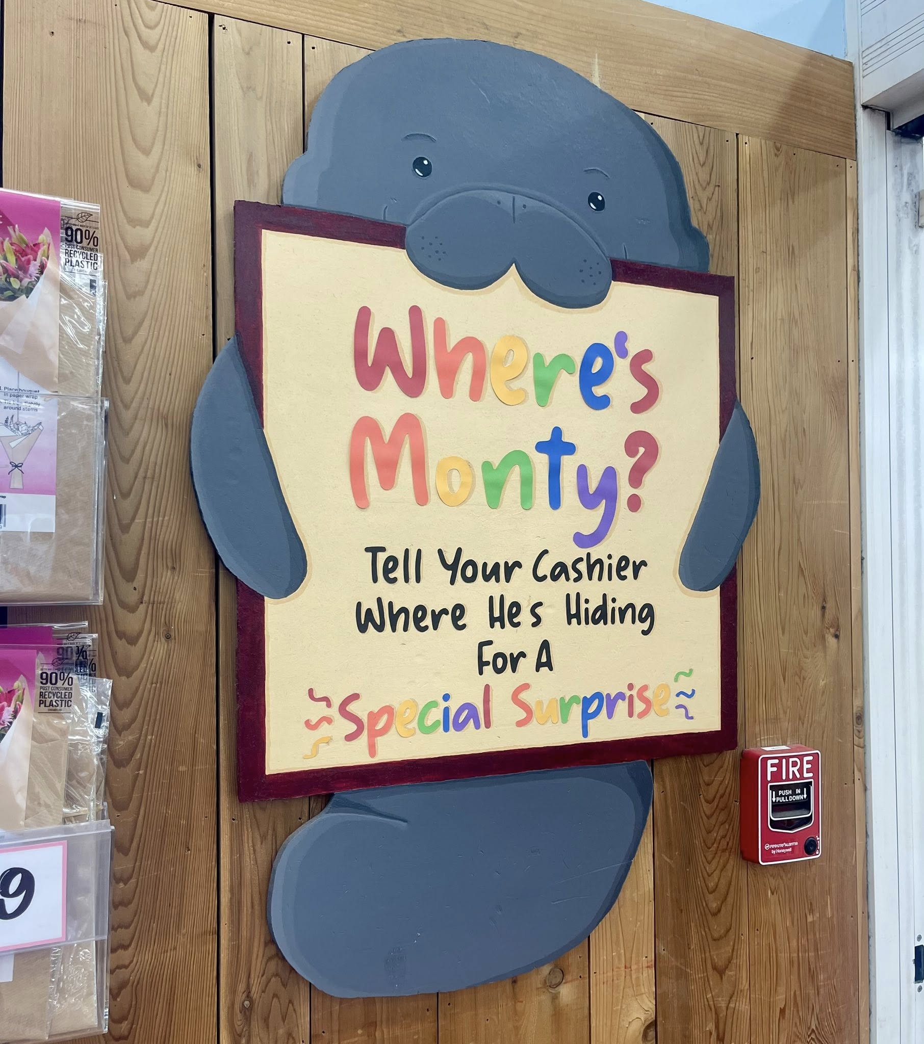 Monty the Manatee at Trader Joe's Woodmere, OH
