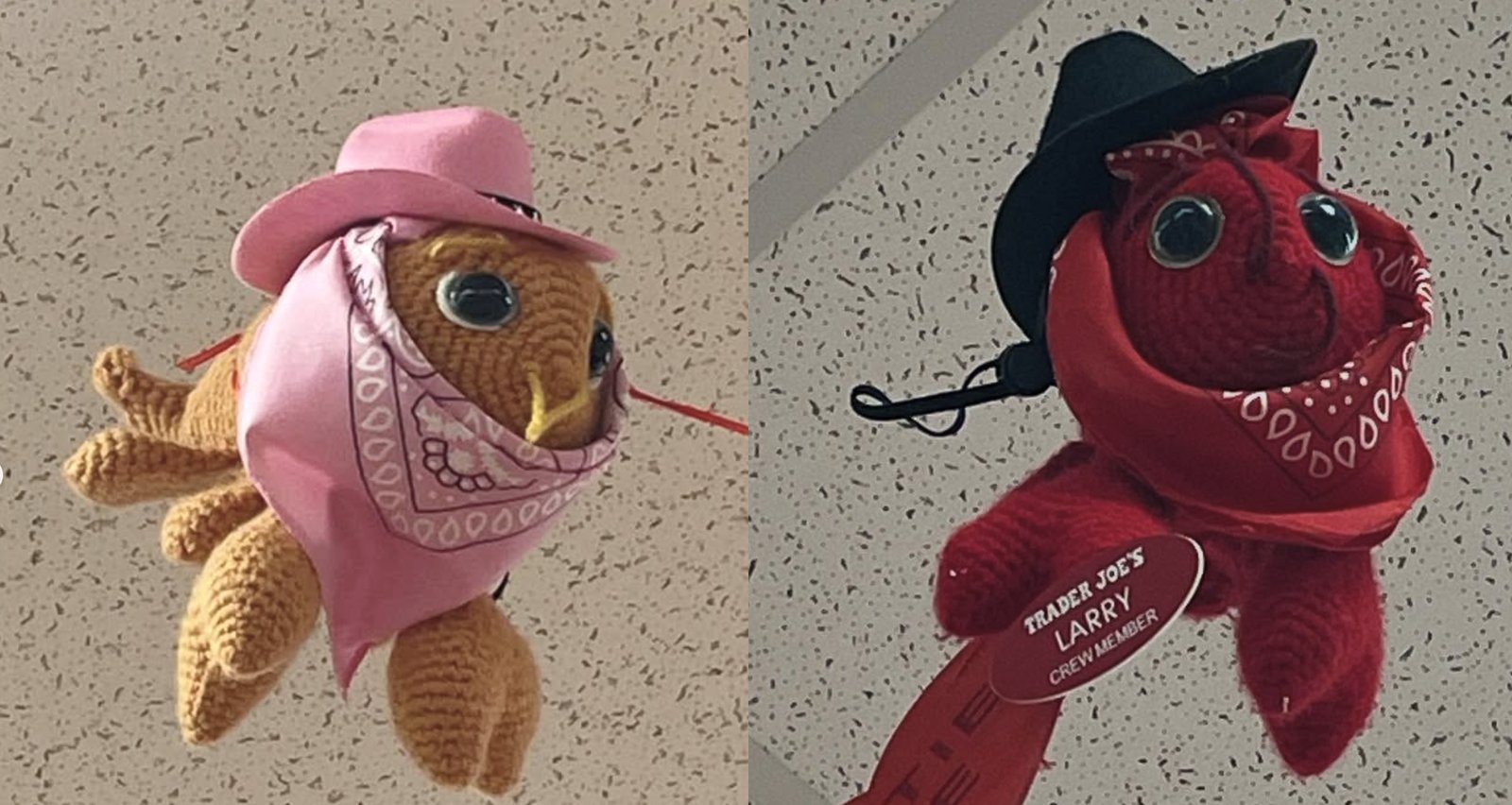 Larry and Lemon the Lobsters (x2) at Trader Joe's Burlington, MA