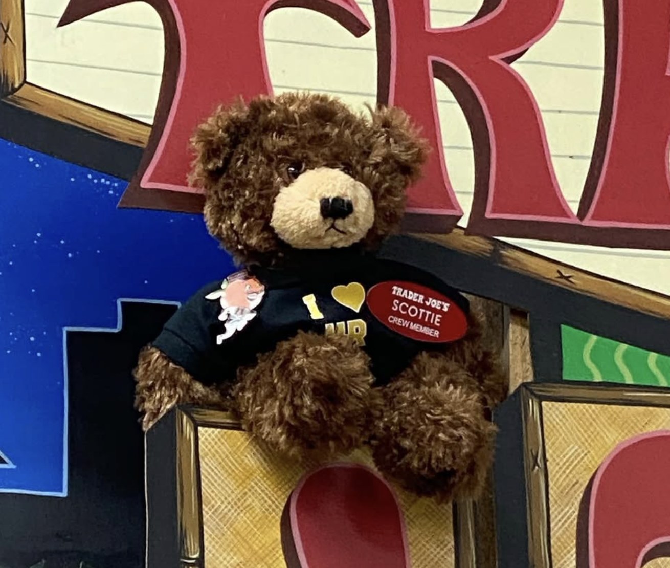 Scotty Highlander the Bear at Trader Joe's Riverside, CA