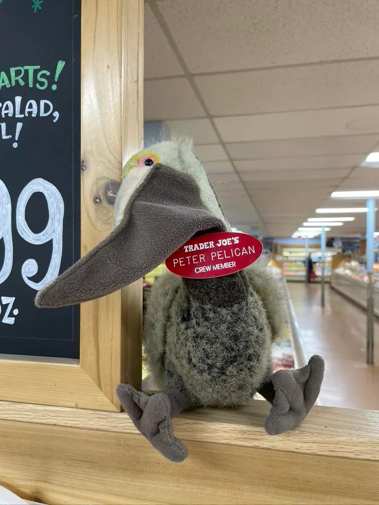 Peter Pelican the Pelican at Trader Joe's Redondo Bch., CA