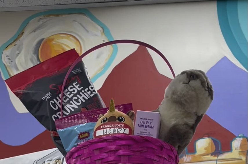 Henry and Dale the Otter at Trader Joe's Riverdale, UT