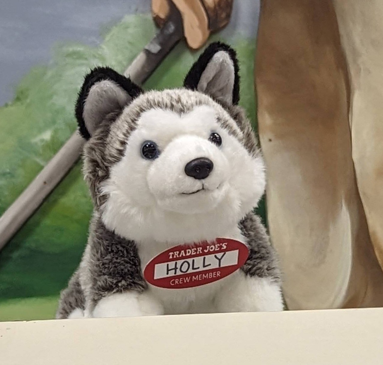 Holly the Husky at Trader Joe's Charlotte — Ballantyne, NC