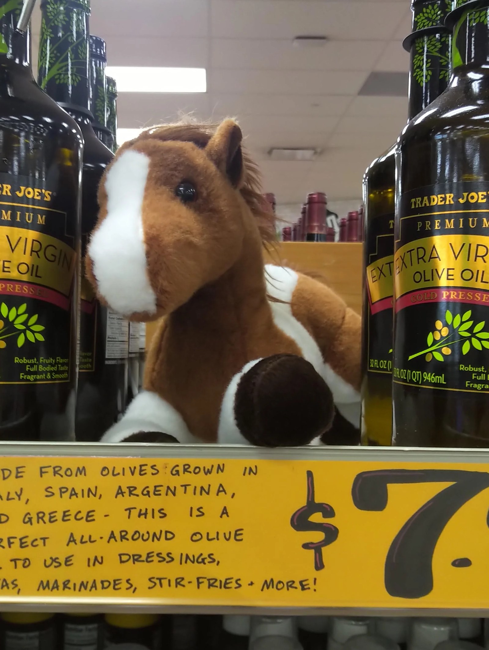 Buster the Bronco at Trader Joe's Kalamazoo, MI
