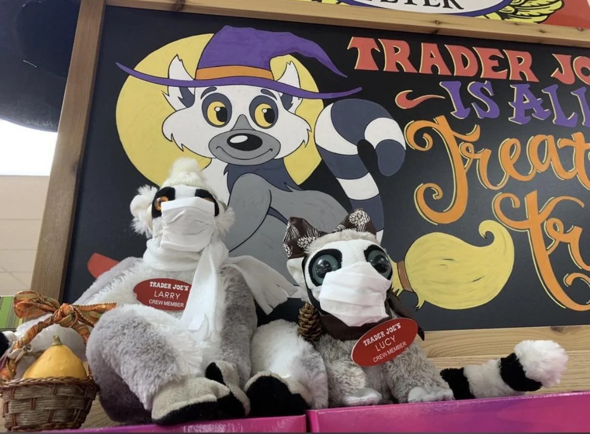 Larry and Lucy the Lemurs (x2) at Trader Joe's Indianapolis — Northwest / 86th, IN