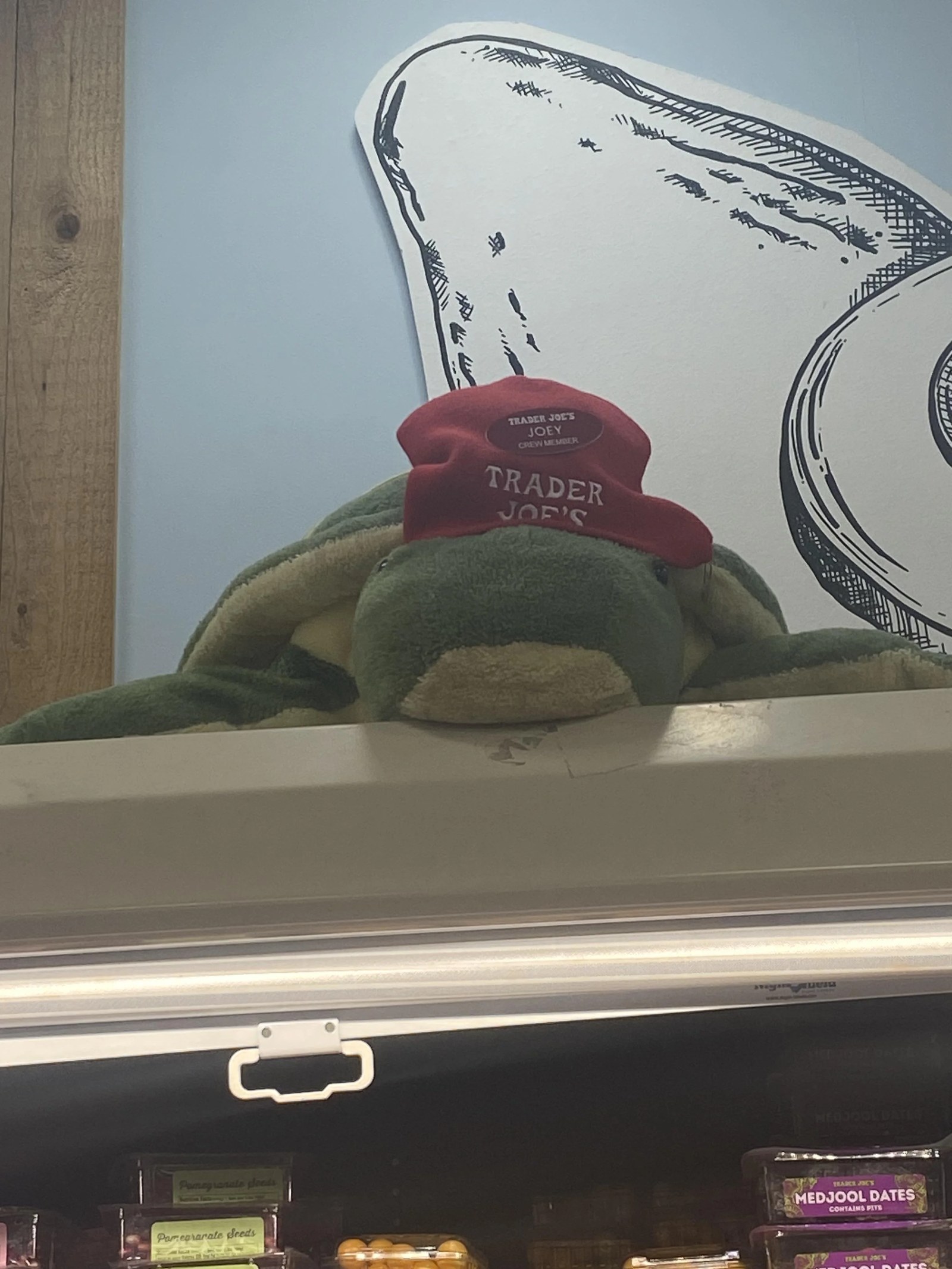Joey the Turtle at Trader Joe's Sandy Springs — South / Lockwood, GA